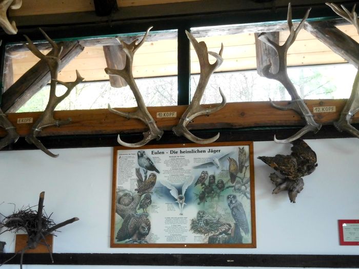 Nutzerbilder Alexander Harald Böer Böers Waldcafe im Wildwald Voßwinkel