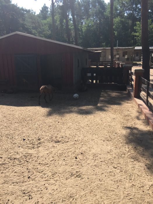 Nutzerbilder Freizeitpark Wendisch Rietz