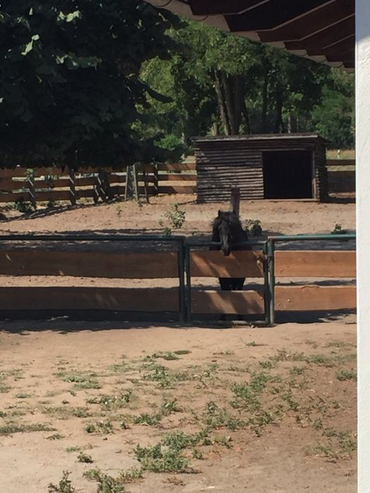 Nutzerbilder Freizeitpark Wendisch Rietz