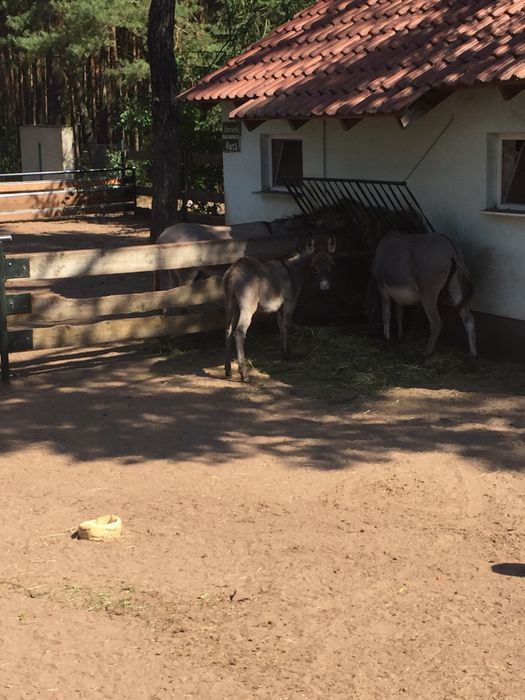 Nutzerbilder Freizeitpark Wendisch Rietz