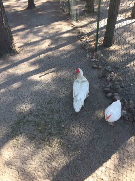 Nutzerbilder Freizeitpark Wendisch Rietz