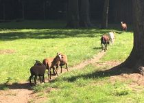 Bild zu Ketteler-Hof Freizeitpark