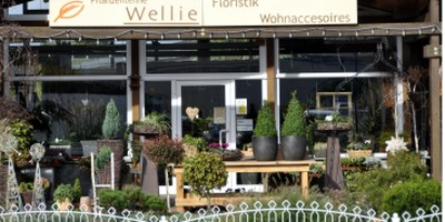 Pflanzentenne Wellie Karin in Werl