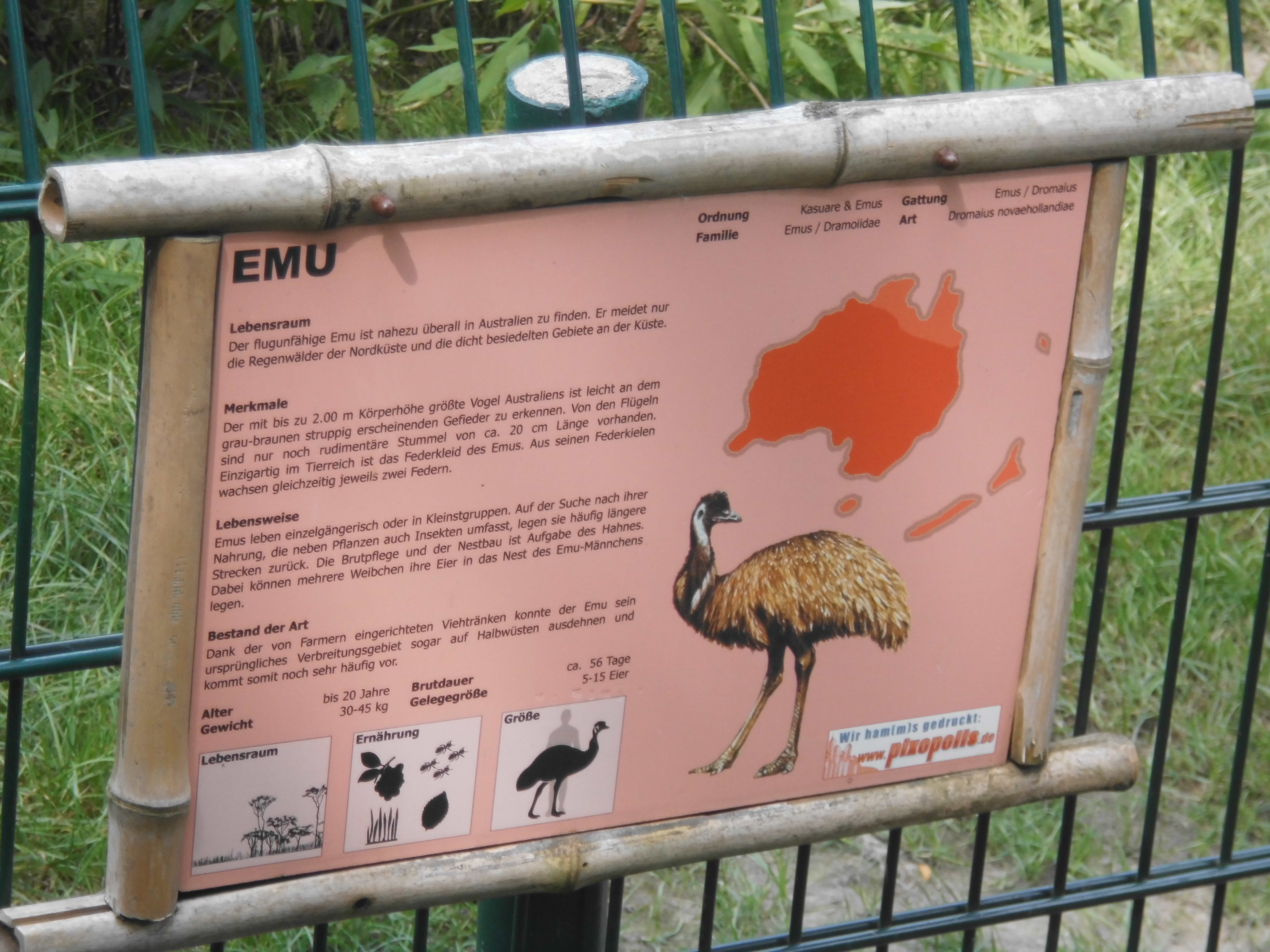 Emu Infotafel