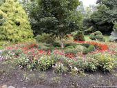 Nutzerbilder Genseburg Manfred, Kaprun Walter Botanischer Garten