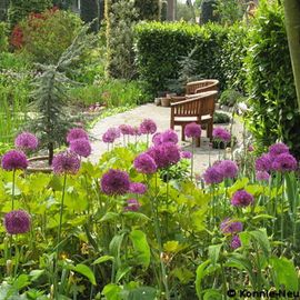 Secret Gardens of Sandwich