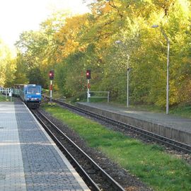 Dresdner Parkeisenbahn in Dresden