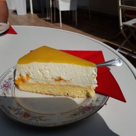 Mandarinen-Joghurt-Torte