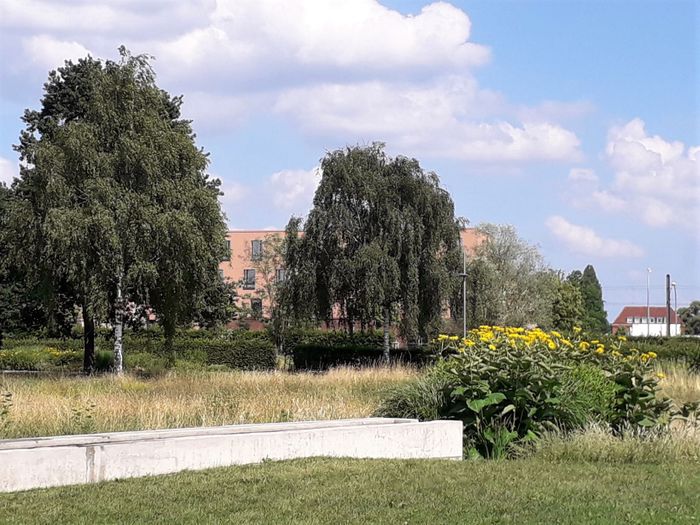 Volkspark Potsdam