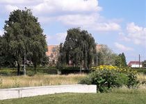 Bild zu Volkspark Potsdam