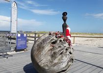 Bild zu Seebrücke Zingst