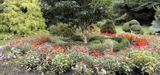 Bild zu Genseburg Manfred , Kaprun Walter Botanischer Garten