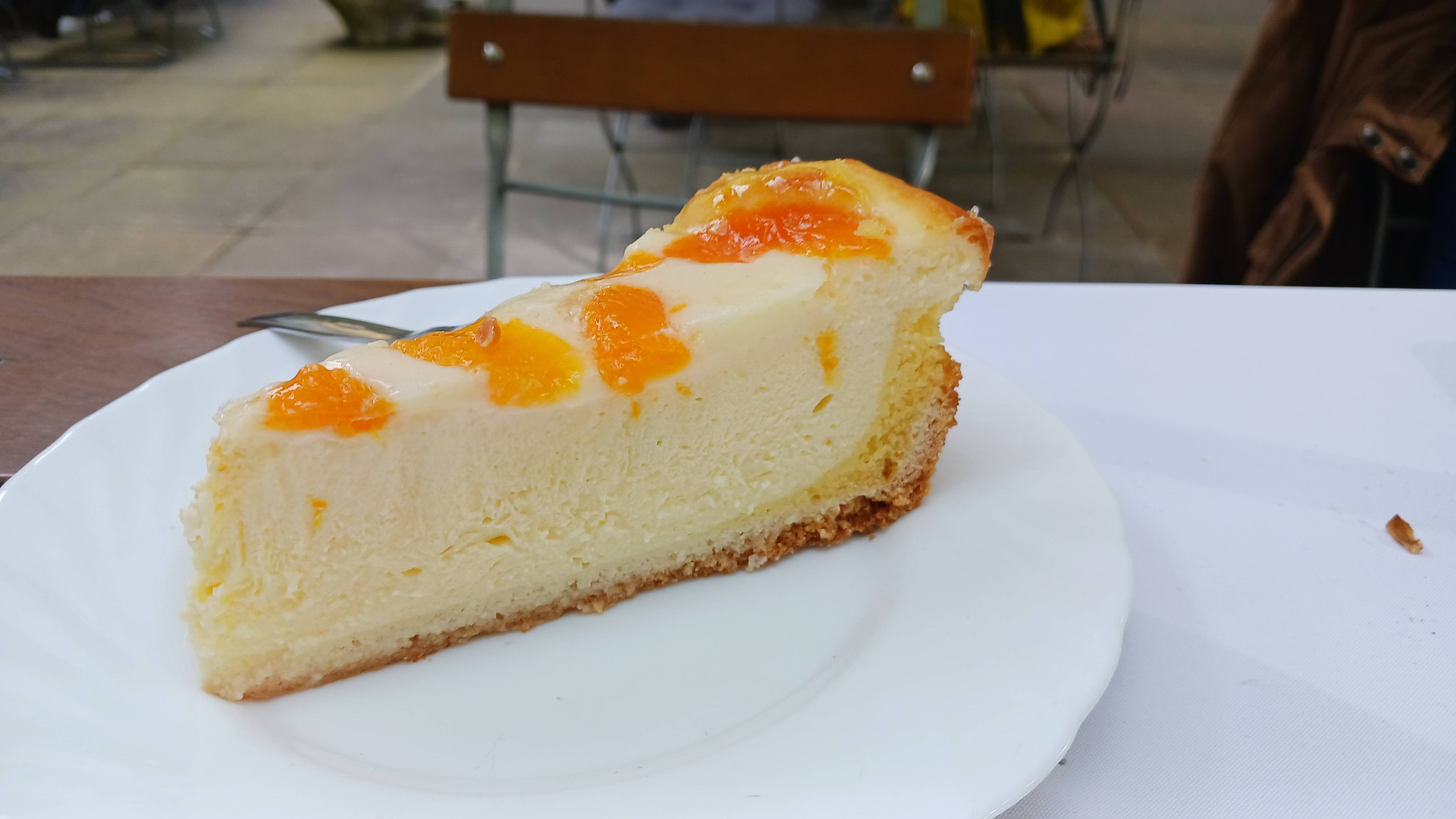 Käse-Schmand-Kuchen mit Mandarinen