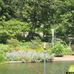 Planten un Blomen in Hamburg