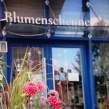 Blumenscheune in Naumburg in Hessen