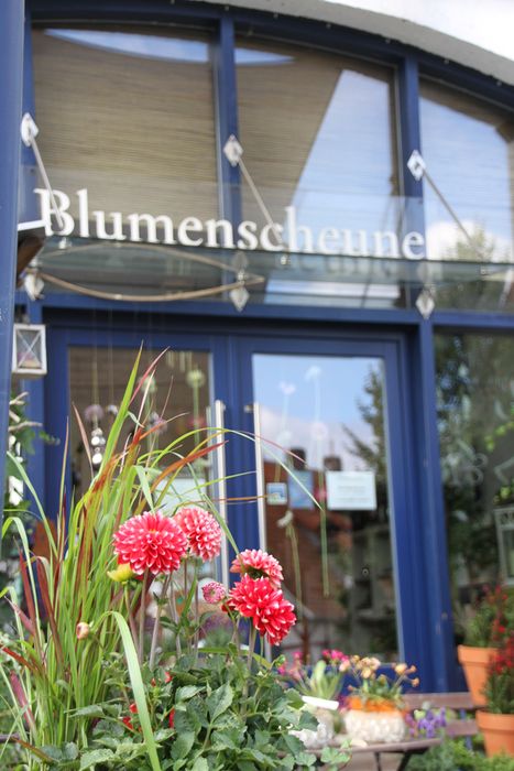 Die Blumenscheune in Naumburg Altenstädt von Diana Weide