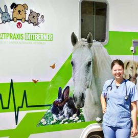 Tierarztpraxis Dr. med. vet. Lavinia-Alexandra Dittberner Tierarztpraxis in Putbus