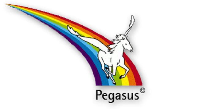 Pegasus Logistik KG