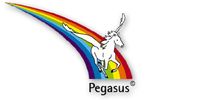 Nutzerfoto 1 Pegasus Logistik KG