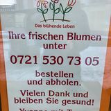 Das blühende Leben in Karlsruhe