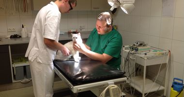 Tierarztpraxis Im Futterhaus GmbH in Landau in der Pfalz