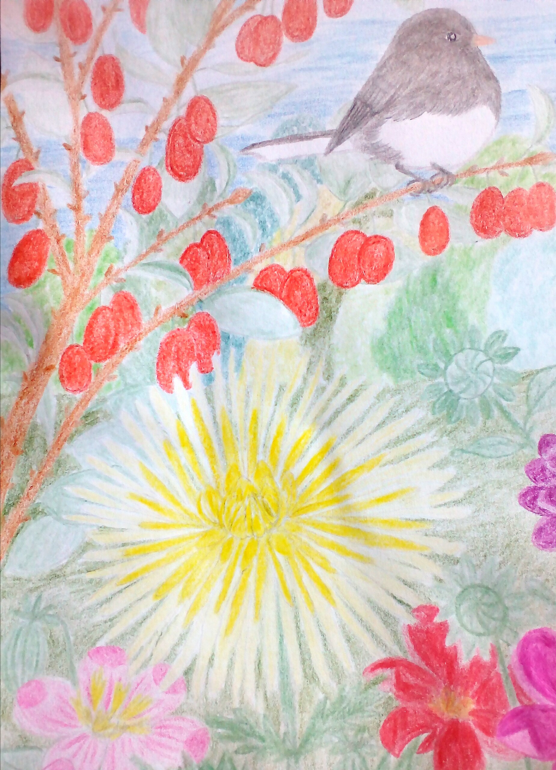 Singvogel der USA im Dahlienfeld 
gemalt mit Faber-Castell Buntstiften
Buntspecht Buntspecht&reg;