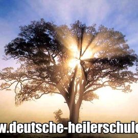 Der Baum der Erkenntnis - mehr Erkenntnis aus spiritueller Sicht unter http://portal.deutsche-heilerschule.de/lexikon/