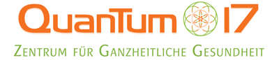 Logo Quantum17