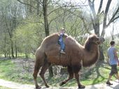 Nutzerbilder Münchener Tierpark Hellabrunn