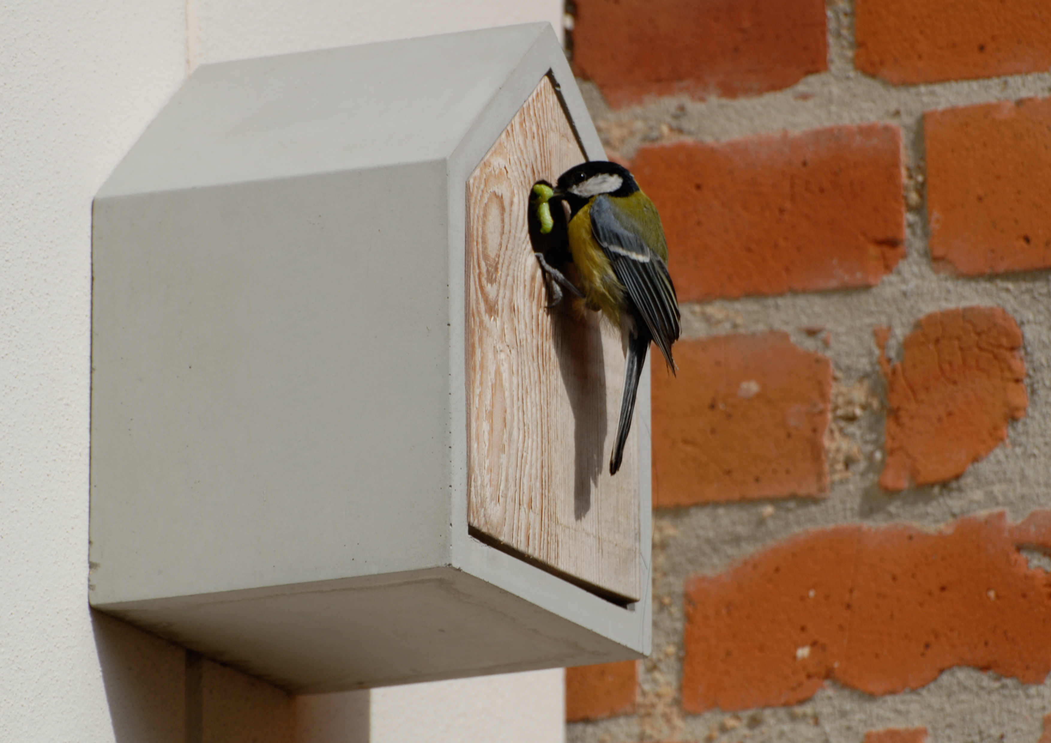 Vogelhäuschen aus Beton und Nadelholz - ideale Kombination aus kalt und warm. Das Eigenheim zeigt sich garantiert mit Vogelgezwitscher dankbar.