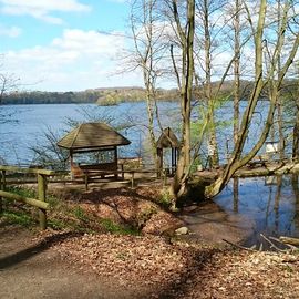 Natur-Kneippbecken an den Spiegelteichen in Malente