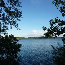 Großer Plöner See in Plön