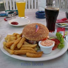 Plymouth mit Cole Slaw und Fries