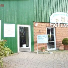 Straußenfarm Ostseeblick in Hohenfelde bei Kiel