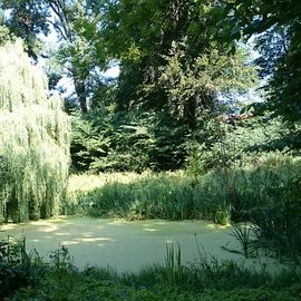 Eschenburgpark in Lübeck