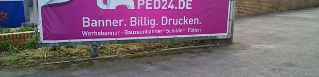 Bild zu PinkElephant