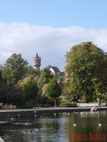 Bild zu Wasserturm Eutin