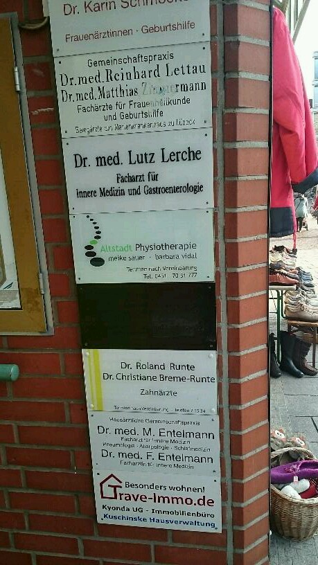 Bild 1 Lerche in Lübeck