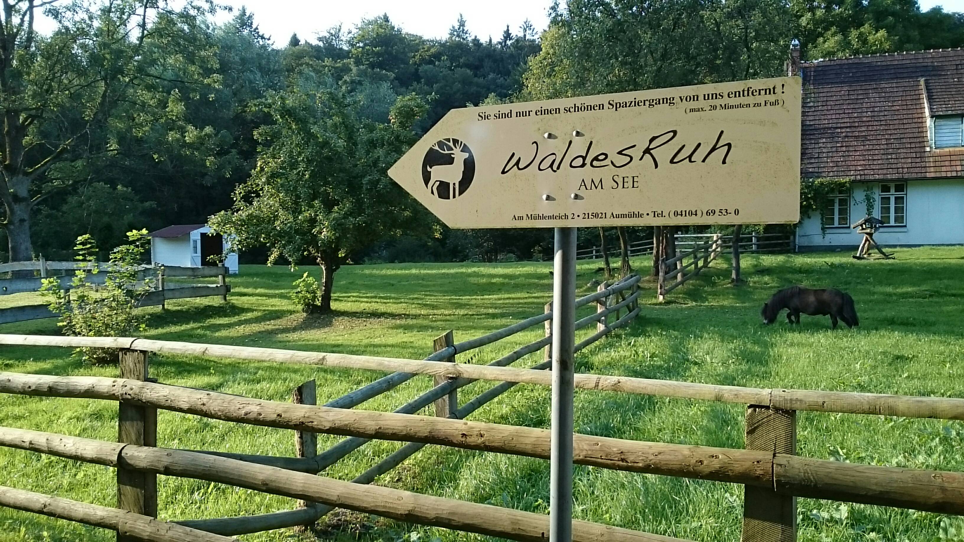 Bild 2 Waldesruh am See in Aumühle