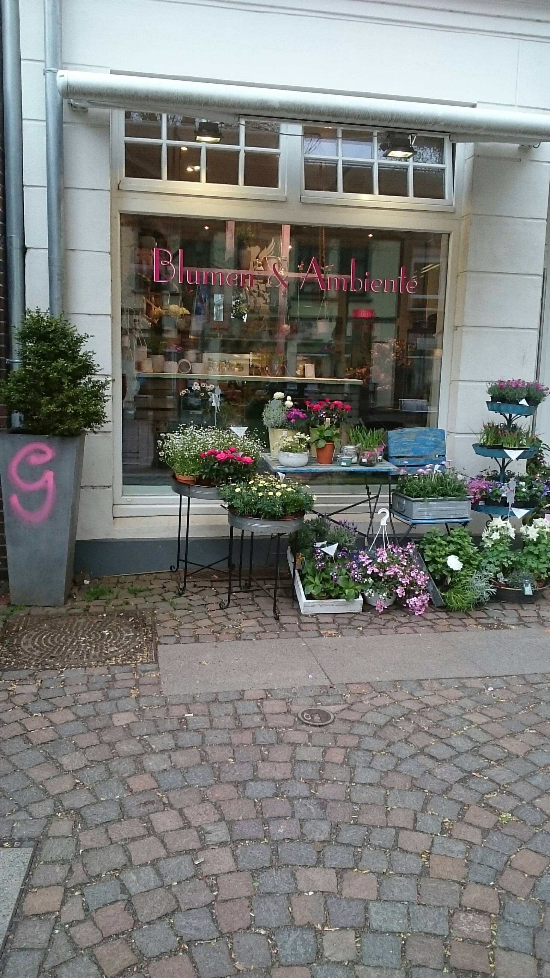 Bild 1 Blumen & Ambiente in Ahrensburg