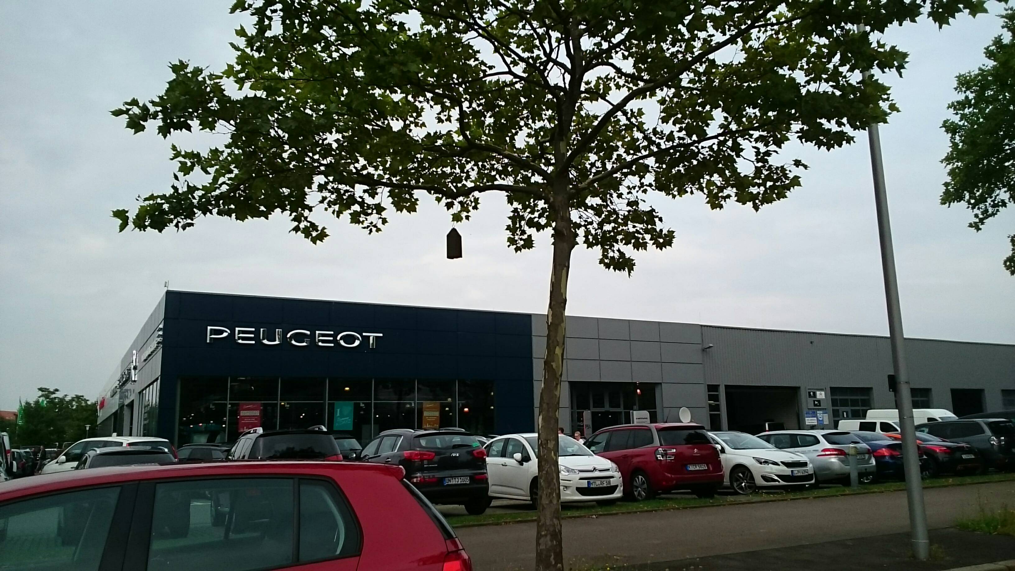 Bild 1 Citroen Commerce GmbH in Leipzig
