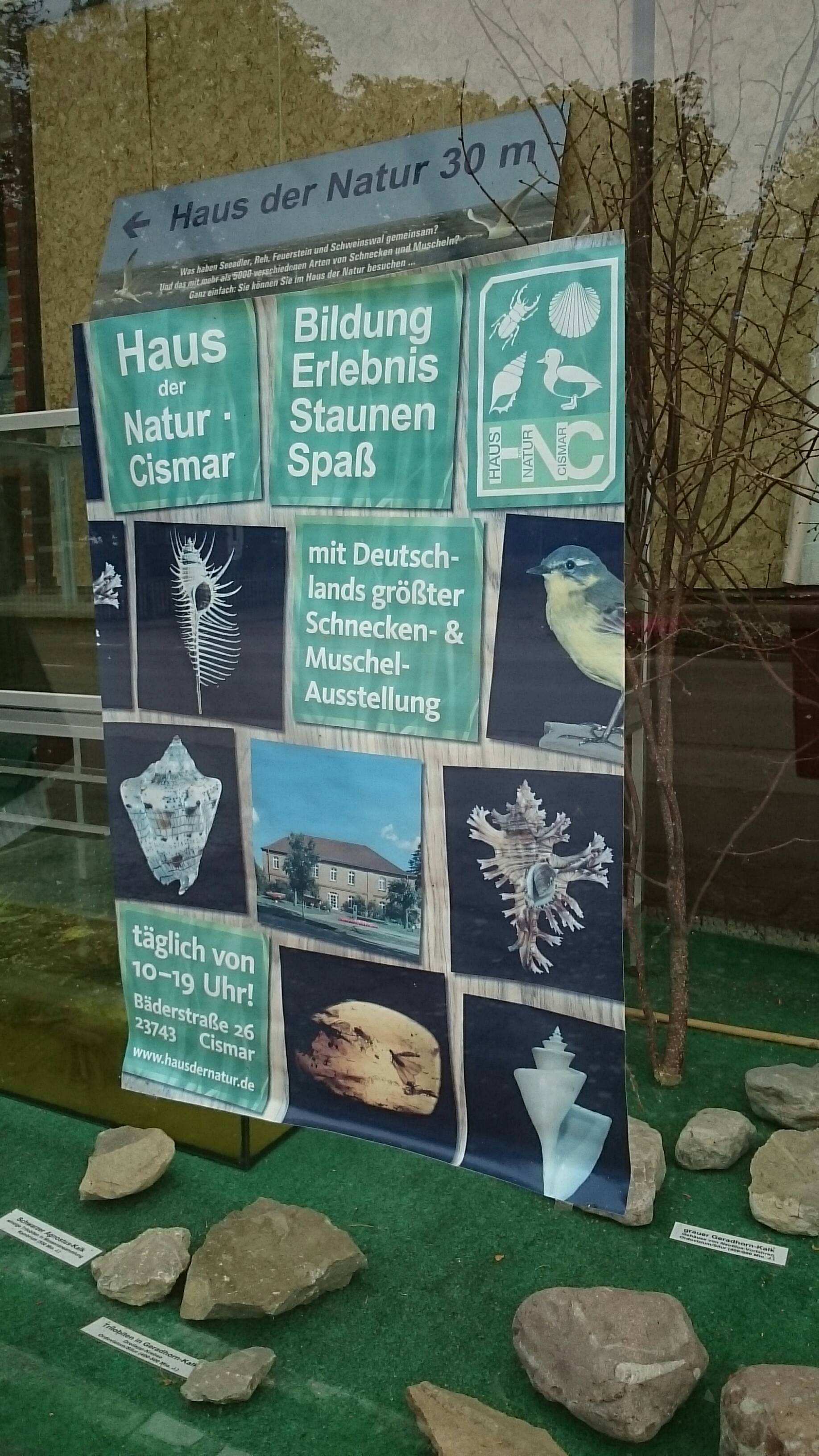 Bild 3 Haus der Natur in Grömitz