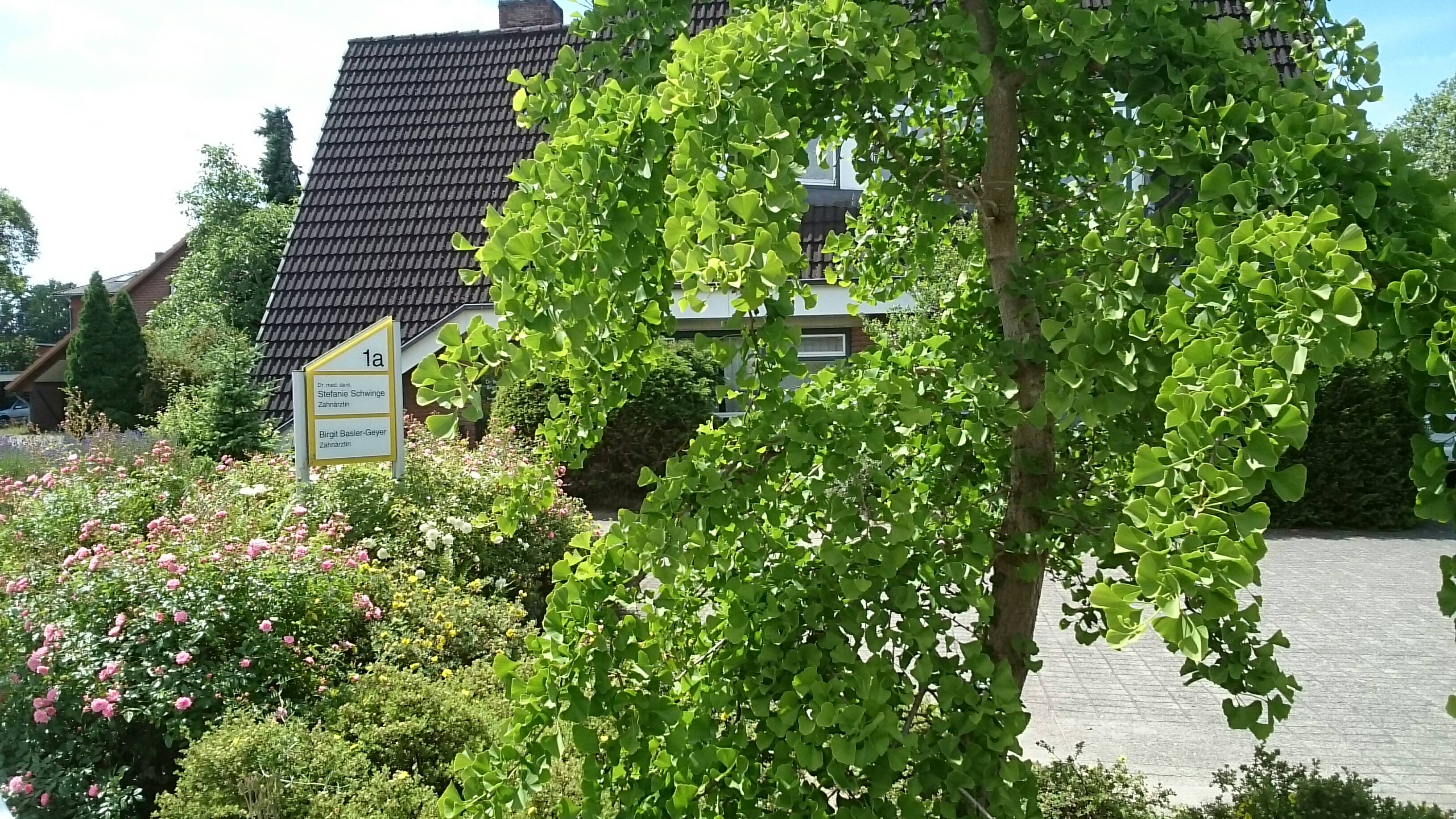 Bild 1 Schwinge in Stockelsdorf