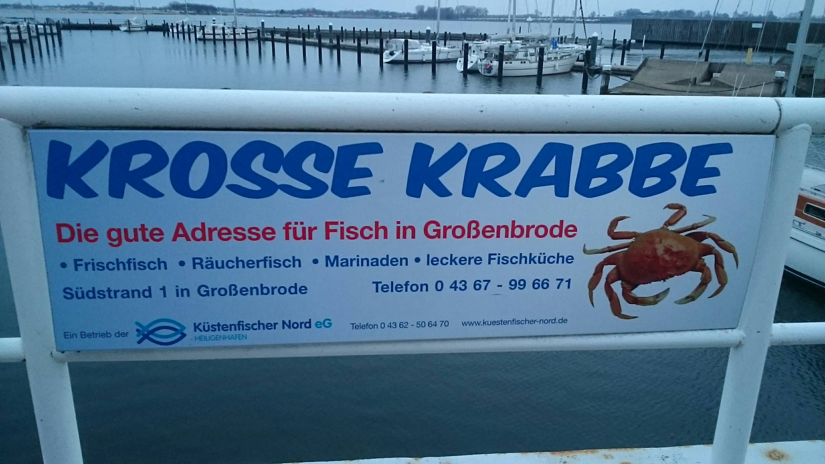 Bild 1 Krosse Krabbe in Großenbrode