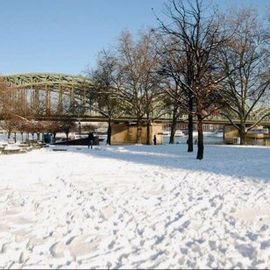Rheinpark Köln Dezember 2017 