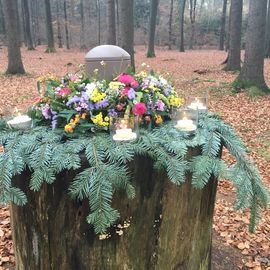 Beisetzung im Ewigforst Sachsenwald