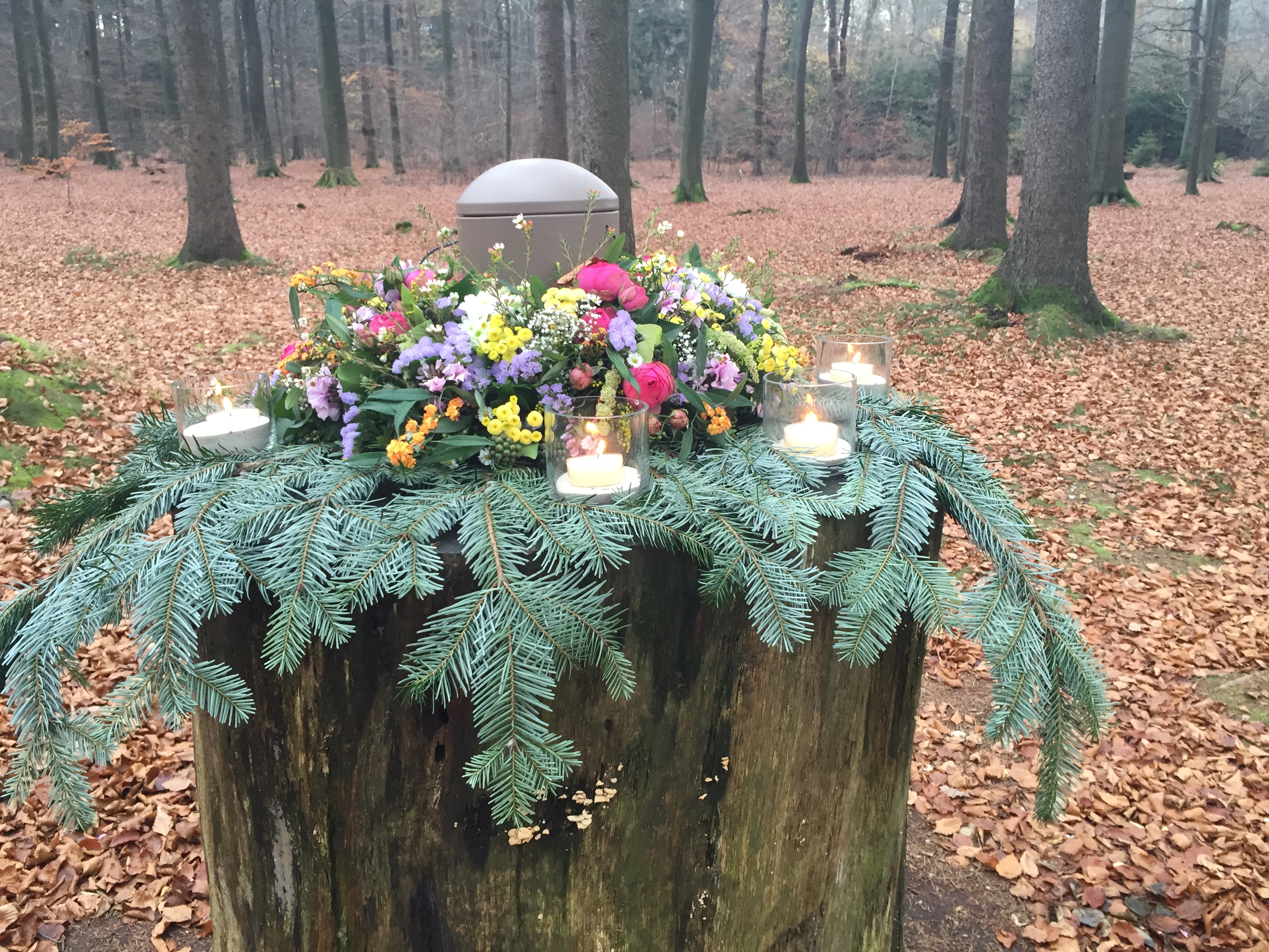 Beisetzung im Ewigforst Sachsenwald