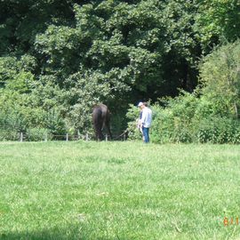 Englischer Garten in München