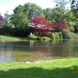 Kleiner See um das Teehaus im Englischen Garten 