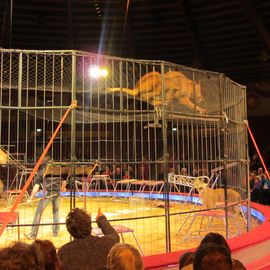 Circus Carl Krone in München